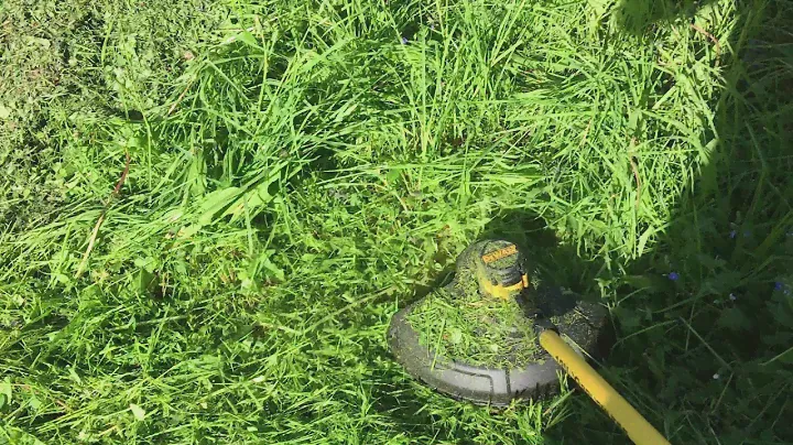 Кошение Триммером DeWALT DCM561P1 18 вольт